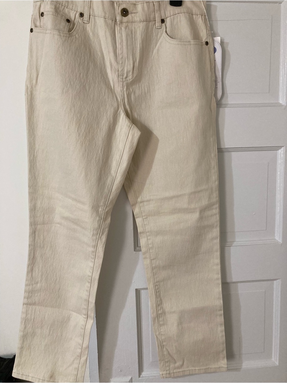 NWTS Diane Gilman Pants